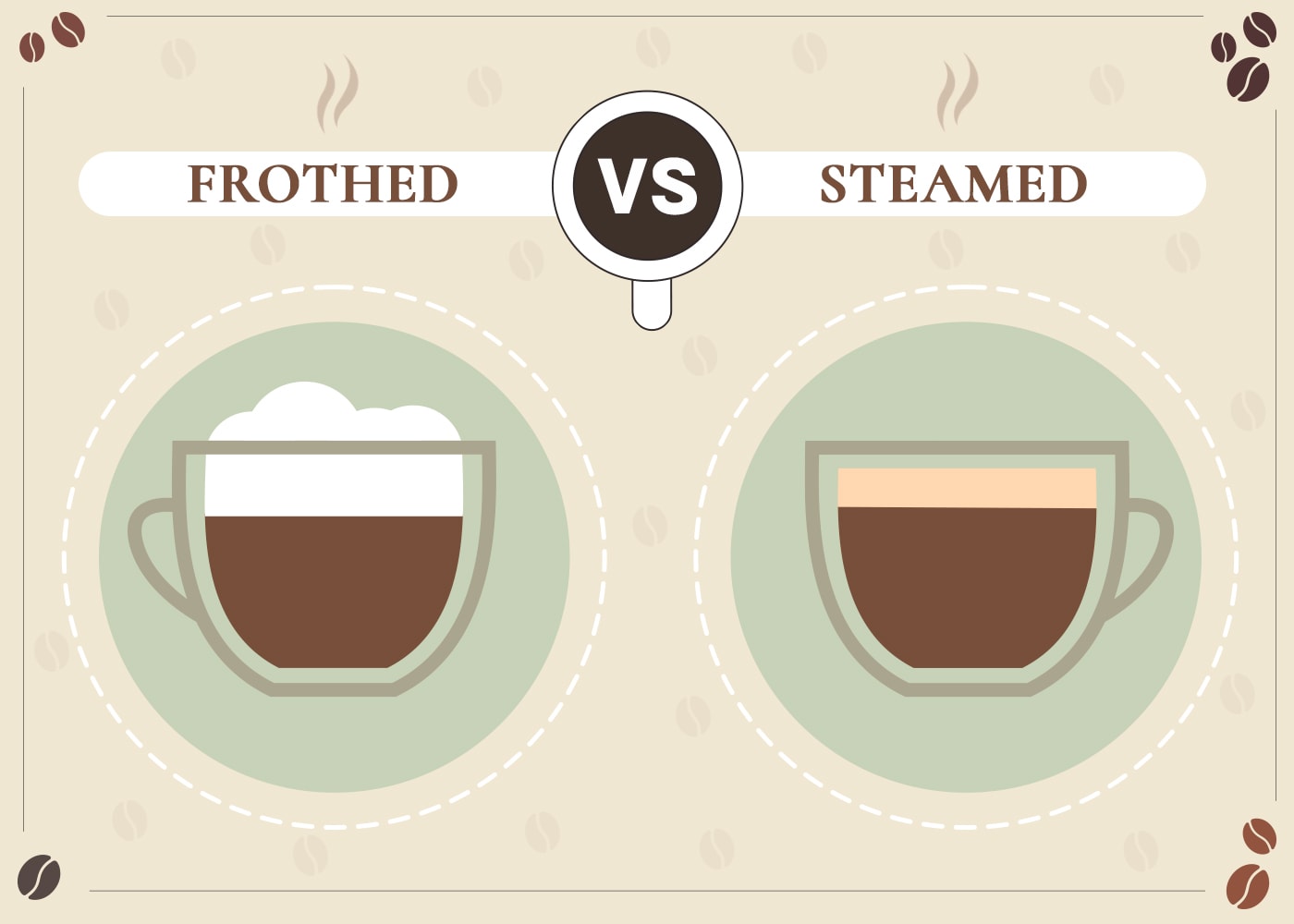 Frothed vs Steamed Milk: The Differences Explained