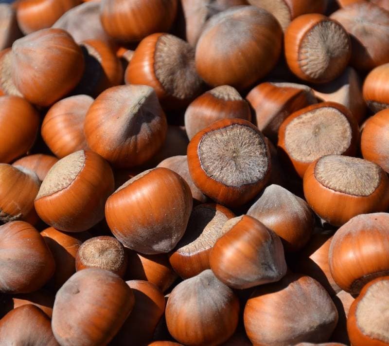 5 Best Hazelnut Coffee Brands 2026 - Top Picks & Reviews