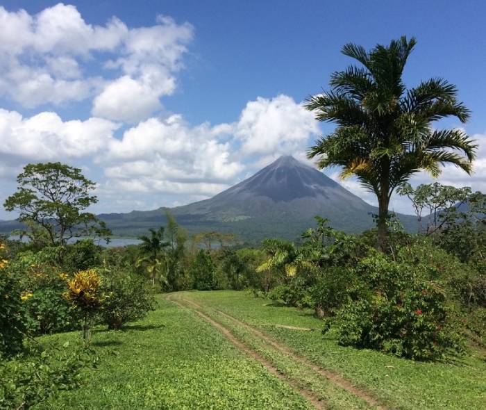 5 Best Costa Rican Coffee Brands in 2026 - Reviews & Top Picks