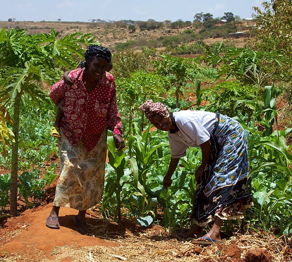 6 Best Kenyan Coffee Brands 2026 — Reviews & Top Picks