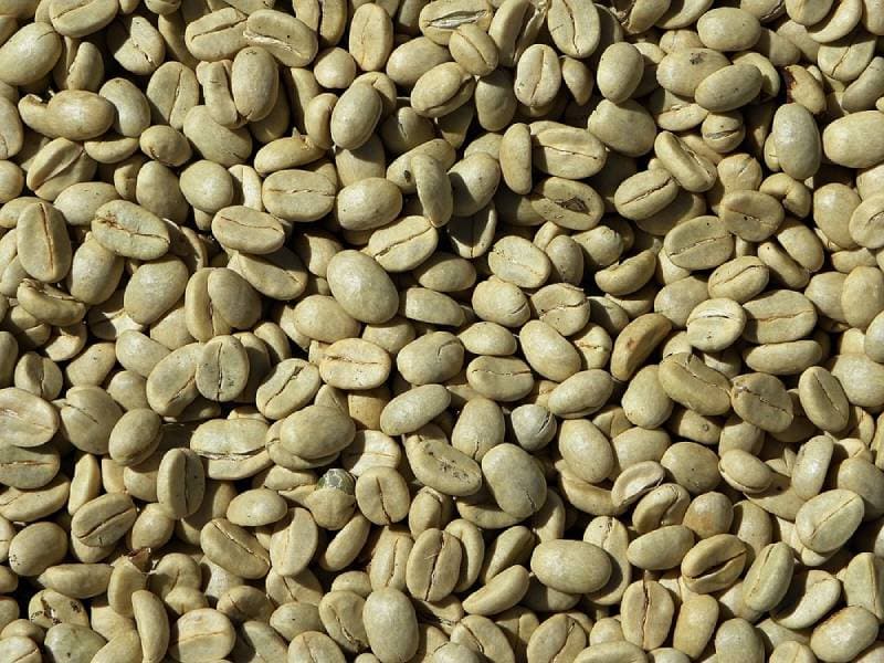 Where's the Best Place to Buy Green Coffee Beans in 2026?