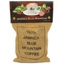 SMALL Green Coffee Traders