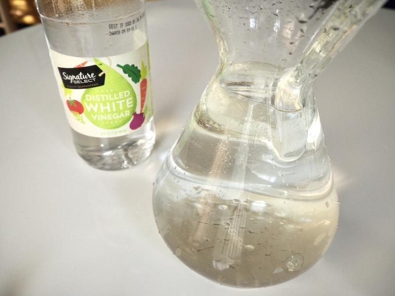 add white vinegar to Chemex and let soak