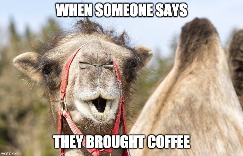 Wednesday Coffee Memes: 30+ Hilarious Hump Day Jokes