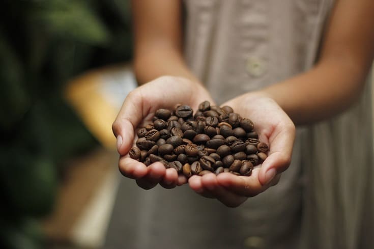 Where Do Coffee Beans Come From? The Fascinating Seed to Cup Process!