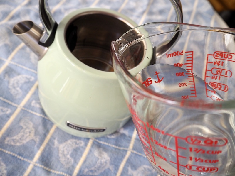 rinse electric kettle with water