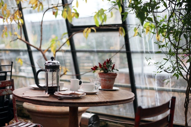 large French press Bodum