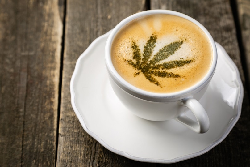 What Is CBD Coffee? Complete 2026 Guide