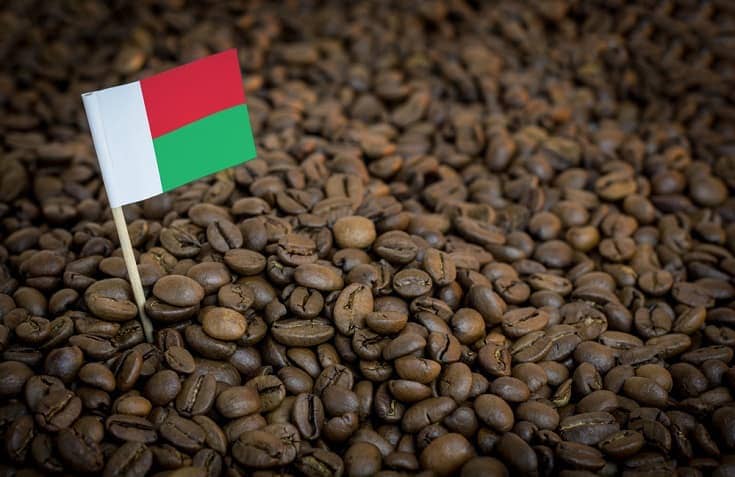 Madagascar Coffee Guide: History, Flavors & More