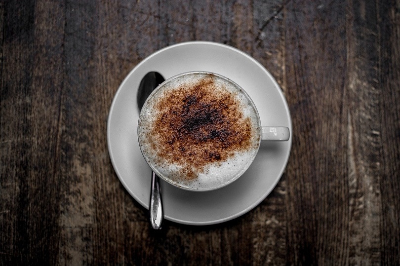 What’s A Dry Cappuccino? Tips to Make It & How to Order the Best