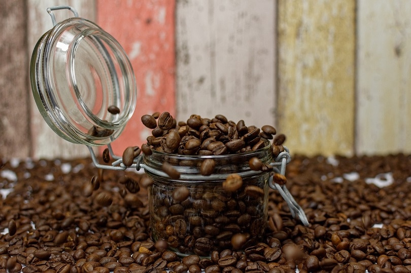 How to Store Coffee Beans to Keep Them Fresh: Tips & FAQ