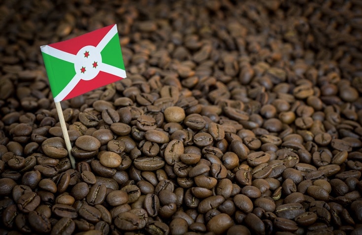 Burundi Coffee Guide: History, Flavors & Brewing Tips