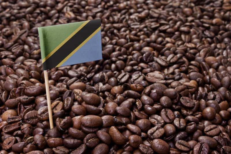 Tanzania Peaberry Coffee: History, Flavors & More