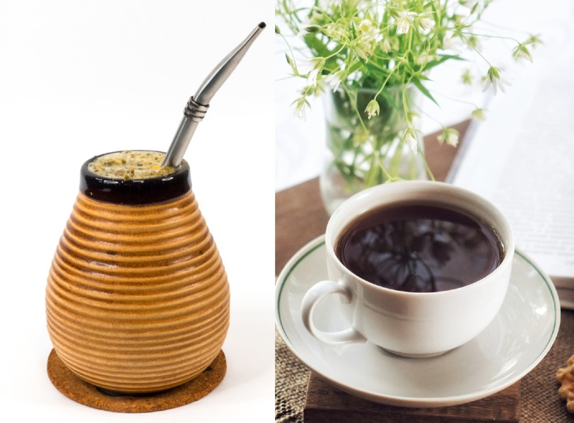 Yerba Mate vs Coffee: The Differences Explained (With Pictures)