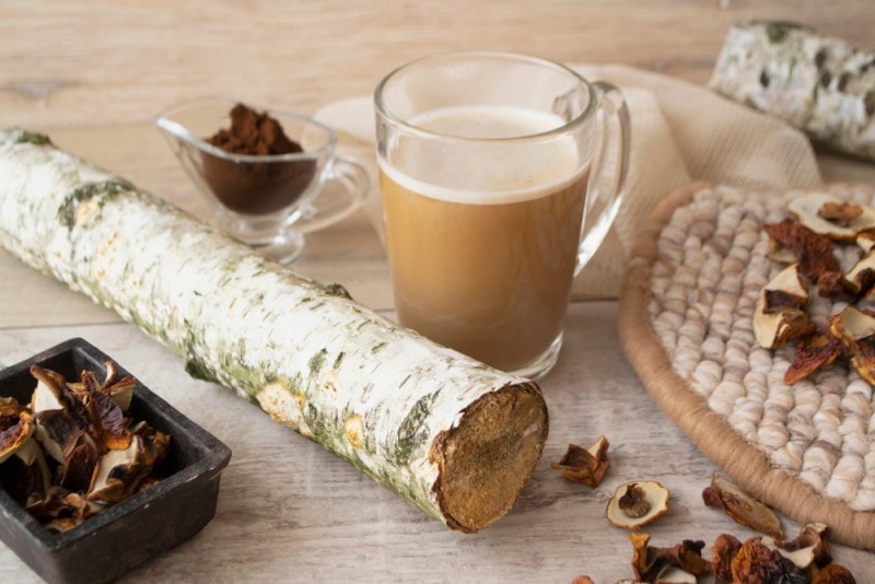 What’s a Chagaccino? This Year’s Trendiest Drink!