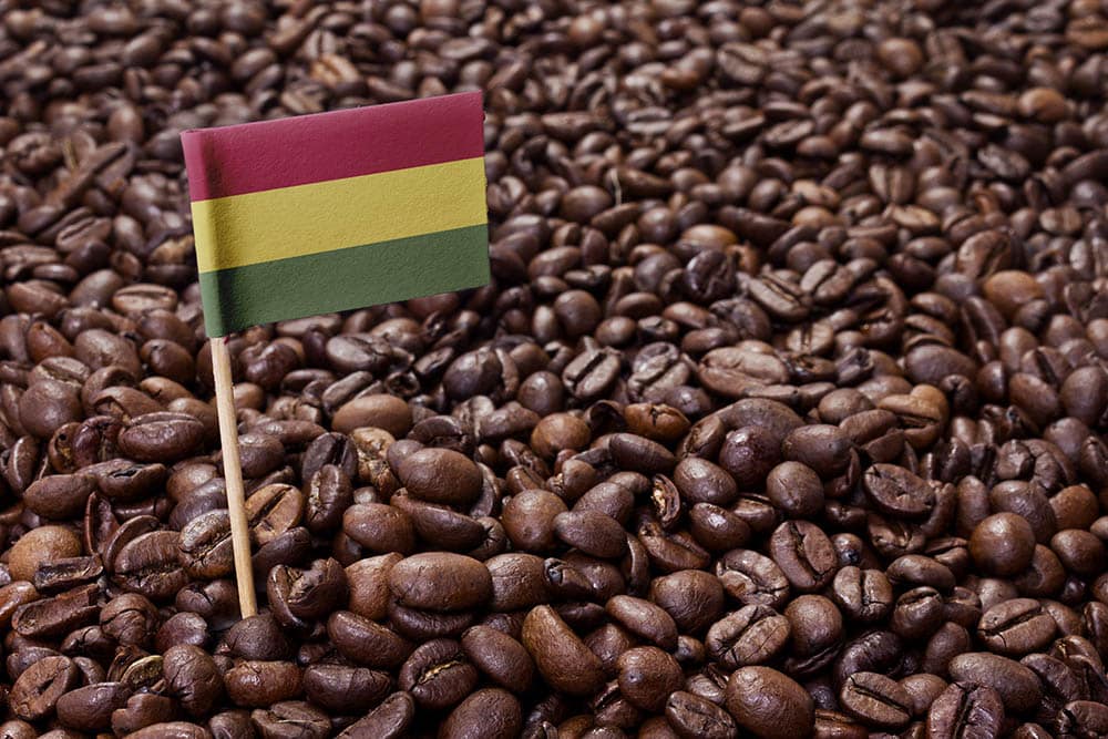 Bolivian Coffee: History, Flavors, & Brewing Tips