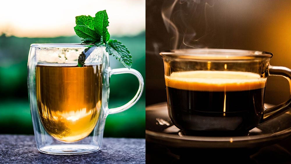 Theine vs Caffeine: The Differences Explained