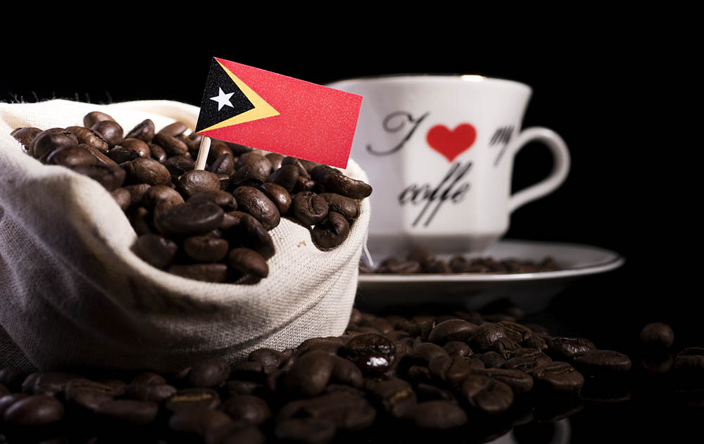 Timor Coffee Culture: History, Flavors & Brewing Tips