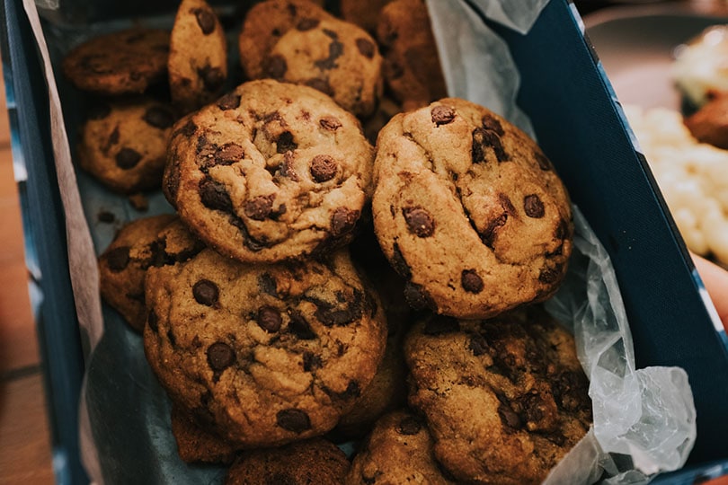 Chocolate Chip Espresso Cookies