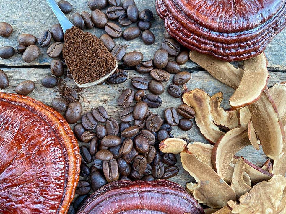 What is Ganoderma Coffee? Flavor, Health Benefits & Overview