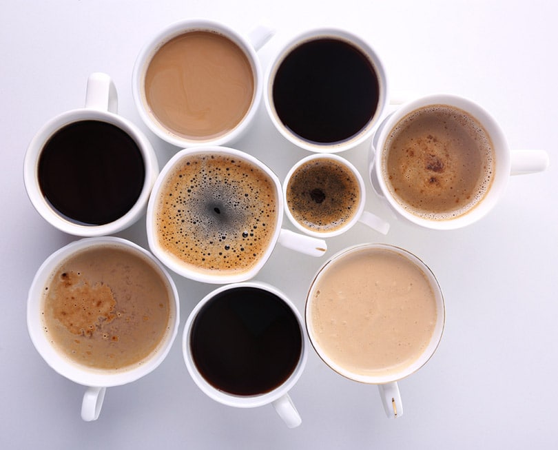 22 Different Types of Coffee Drinks (Explained With Pictures)