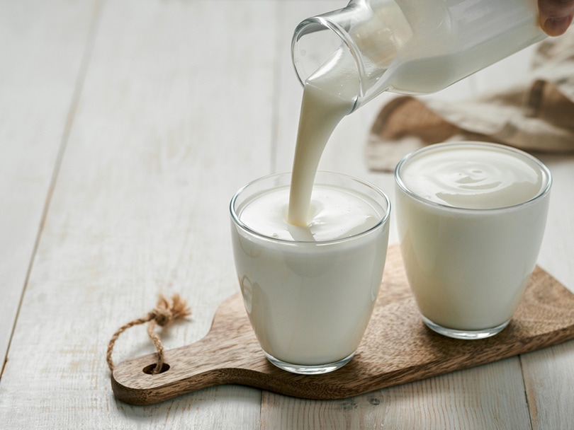Buttermilk in Coffee: Should You Try It?