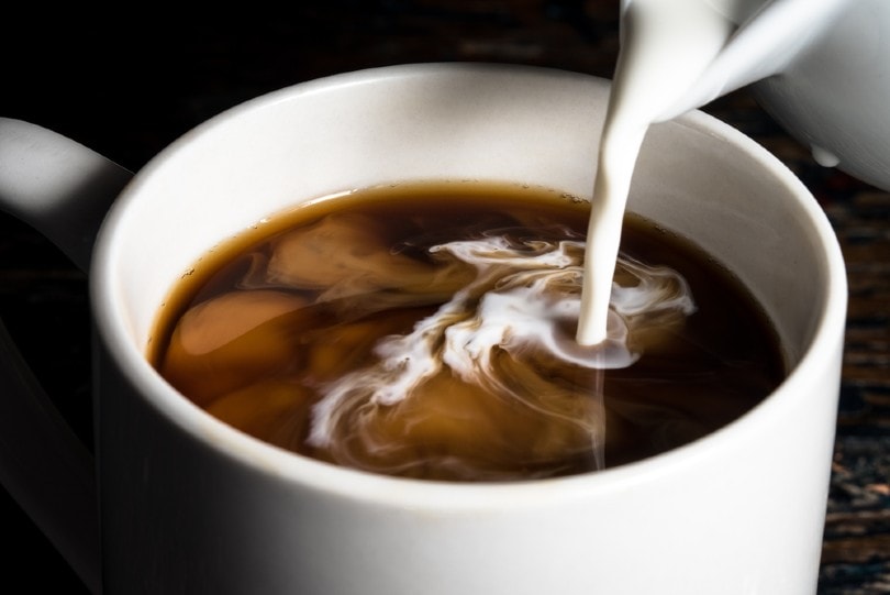 Can You Freeze Coffee Creamer? 3 Methods of Freezing Creamer