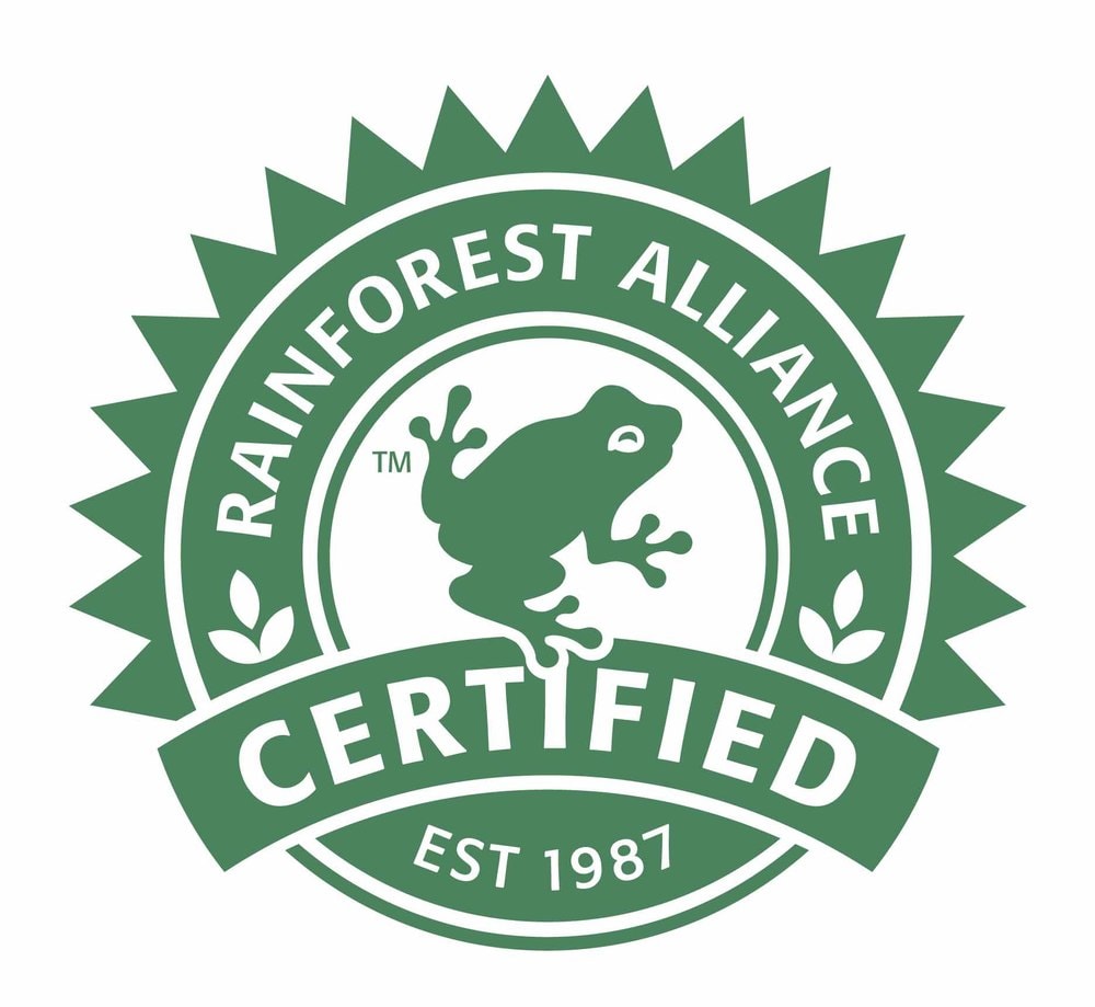 What Is Rainforest Alliance Coffee? Full Guide