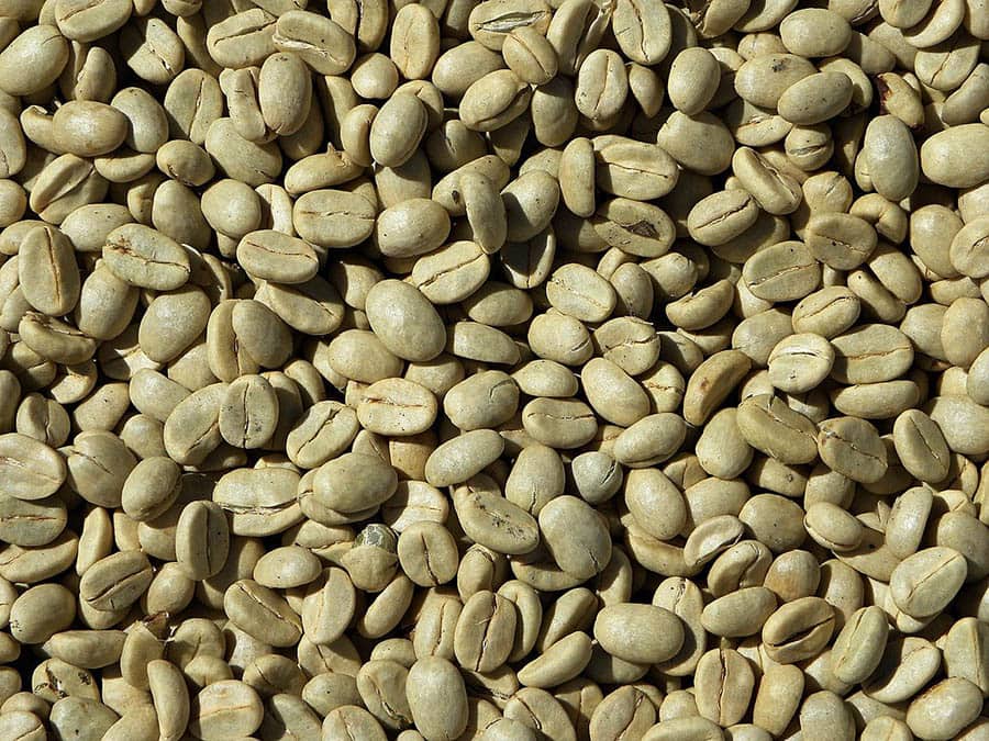 Can You Eat Raw Coffee Beans? Health Concerns & More