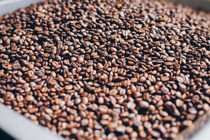 Where Does Starbucks Get Their Coffee Beans? History & Sourcing