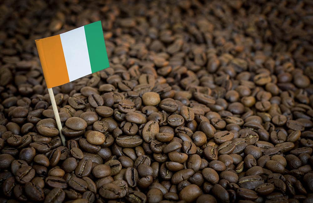 Ivory Coast Coffee: Flavors, Coffee Roasts, History & Brewing Tips