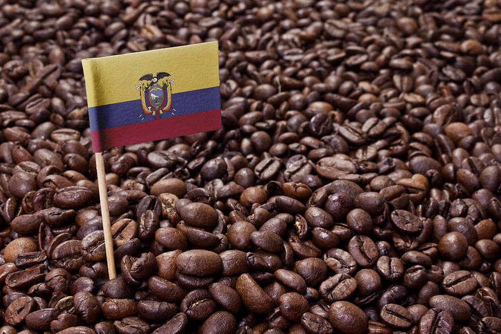 Ecuadorian Coffee Guide: Flavors, History & Brewing Tips