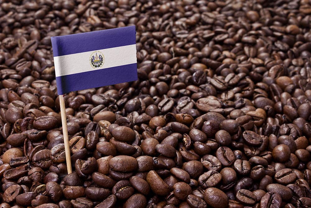 El Salvador Coffee Guide: Flavors, History & Brewing Tips