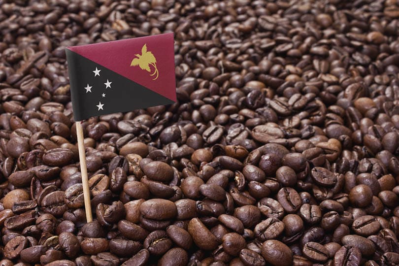 Papua New Guinea Coffee: Flavors, History & Brewing Tips