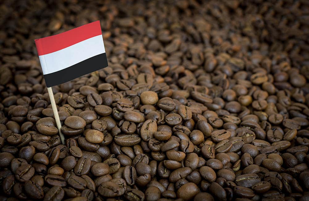 Yemen Coffee Guide: History, Flavors, and Brewing Tips