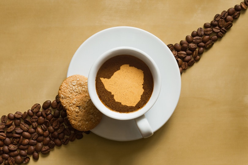 Zimbabwe Coffee: Flavors, History & Brewing Tips