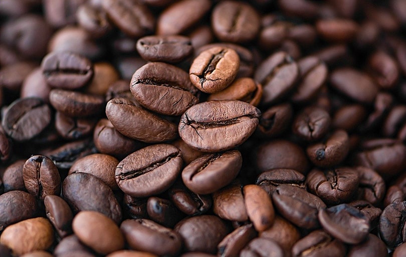 How To Buy Ethically Sourced Coffee: 11 Things To Look For