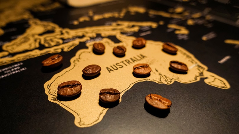 Australian Coffee Culture Guide: History, Brewing Tips, & Flavors