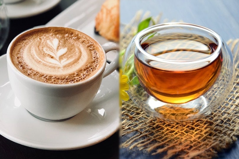 Coffee vs. Tea: Which Drink Is Healthier? Pros & Cons of Each Option