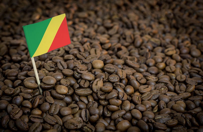 Congo Coffee Guide: Flavors, History & Brewing Tips