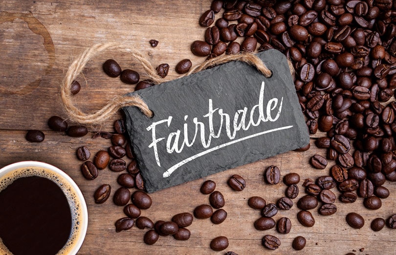 What Does Fair Trade Coffee Really Mean? Certification & Regulation