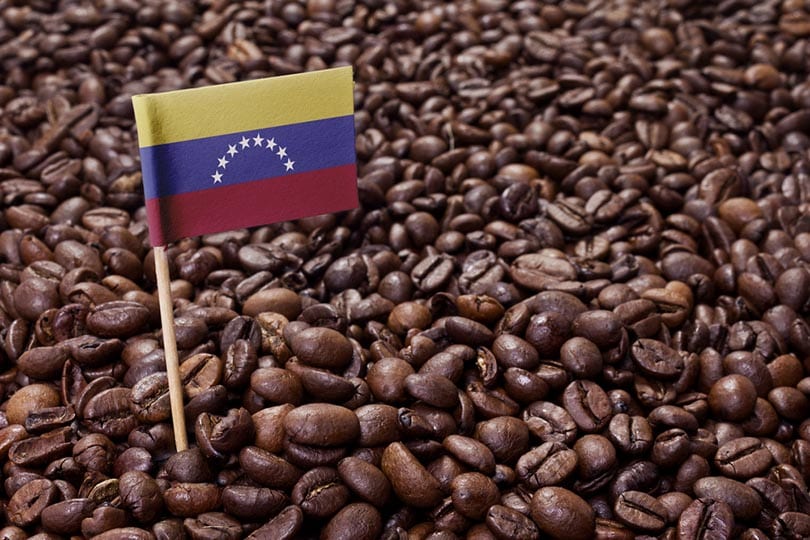 Venezuelan Coffee: Flavors, History & Brewing Tips