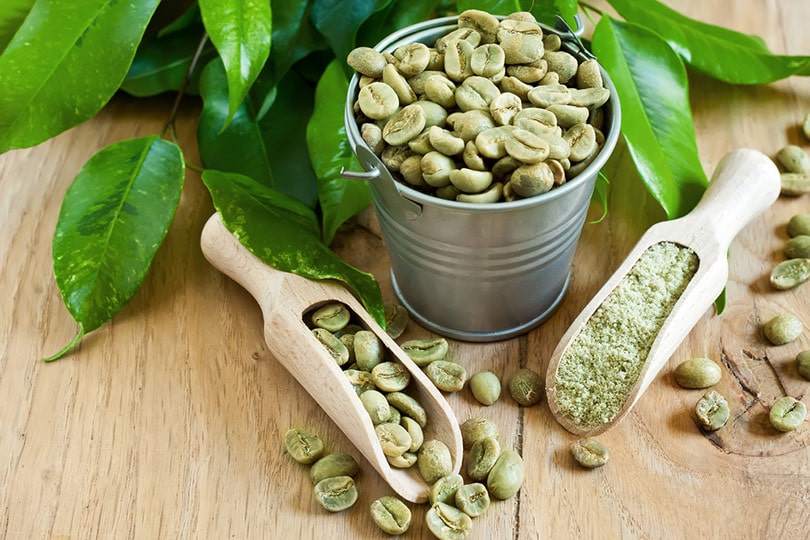 10 Green Coffee Bean Extract Benefits (According to Science)