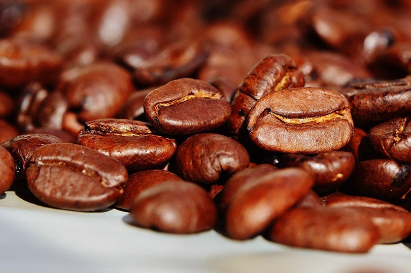 9 Coffee Benefits for Skin & Hair: Amazing Scientific Facts