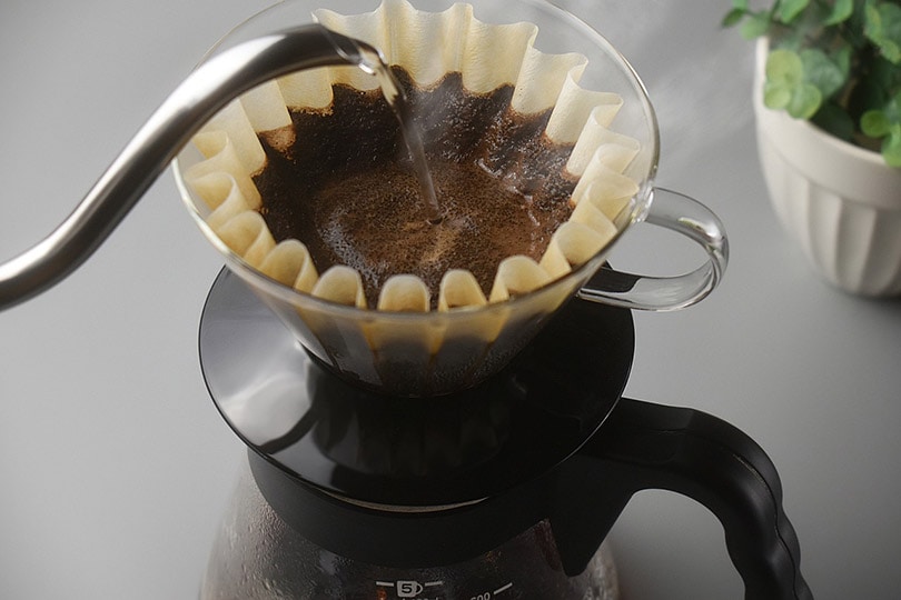 14 Best Online Coffee Classes to Try Today: Free & Paid Options!