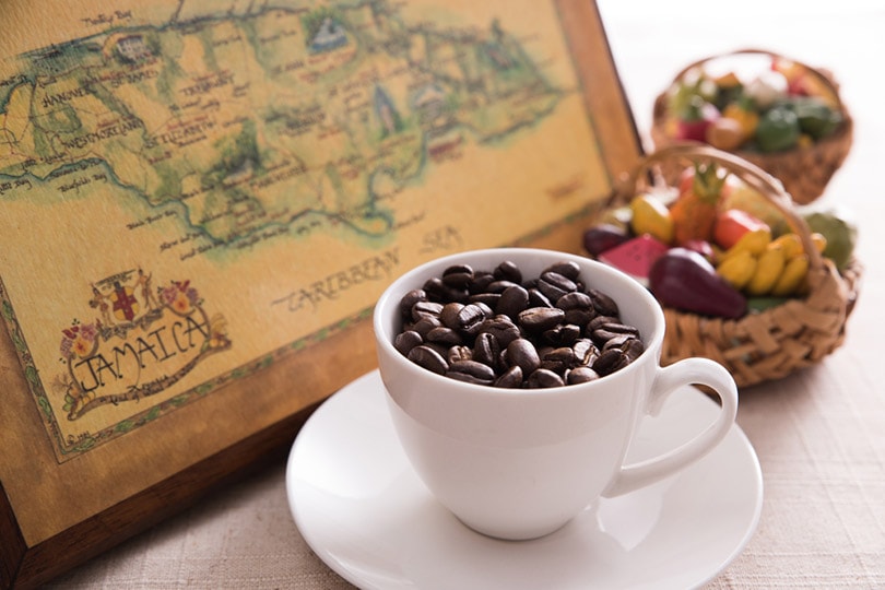 Why Is Jamaican Blue Mountain Coffee So Expensive? Flavor & History