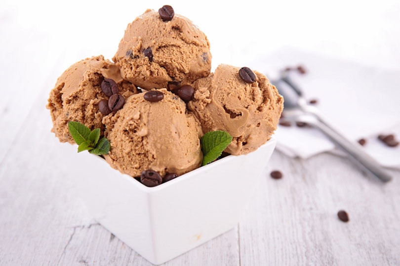 Can Dogs Eat Coffee Ice Cream? The Facts & Ingredients To Avoid