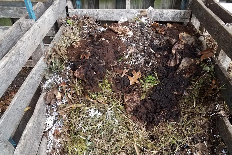 Composting Leaves & Coffee Grounds in the Winter: Expert Tips