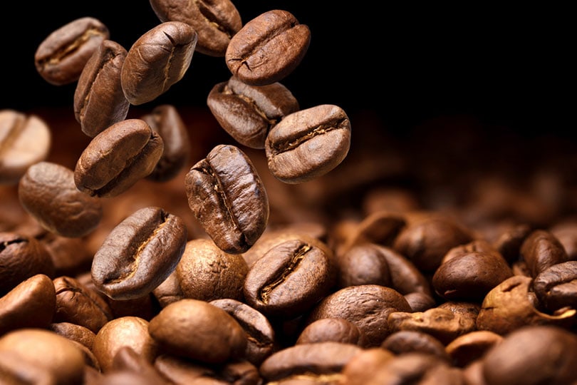 10 Best Espresso Coffee Beans in the UK: 2026 Reviews & Top Picks