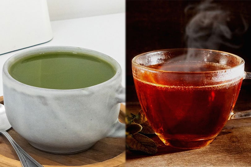 Green Tea vs Black Tea: Main Differences Explained
